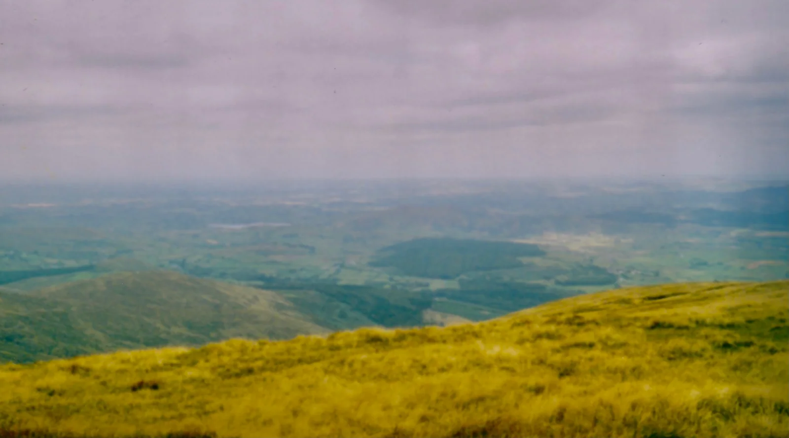 Große Wald- und Berglandschaft im Alpenraum