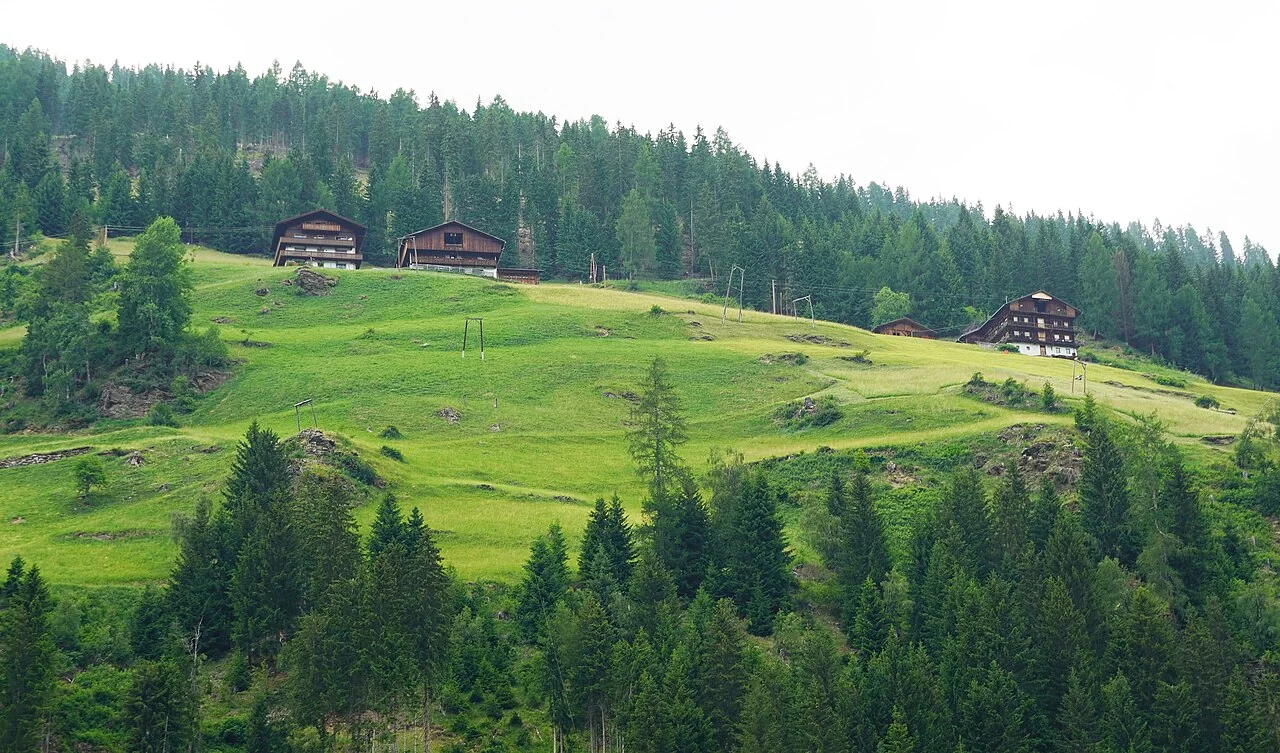 Alpines Landgut mit Wiesen und Forst